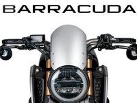 BARRACUDA スクリーン AEROSPORT スモーク Suzuki GSX-S950/1000 (2022-)
