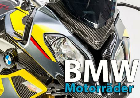 BMW S1000RR 19- カーボンウイング イルムバーガー | バイクカスタム