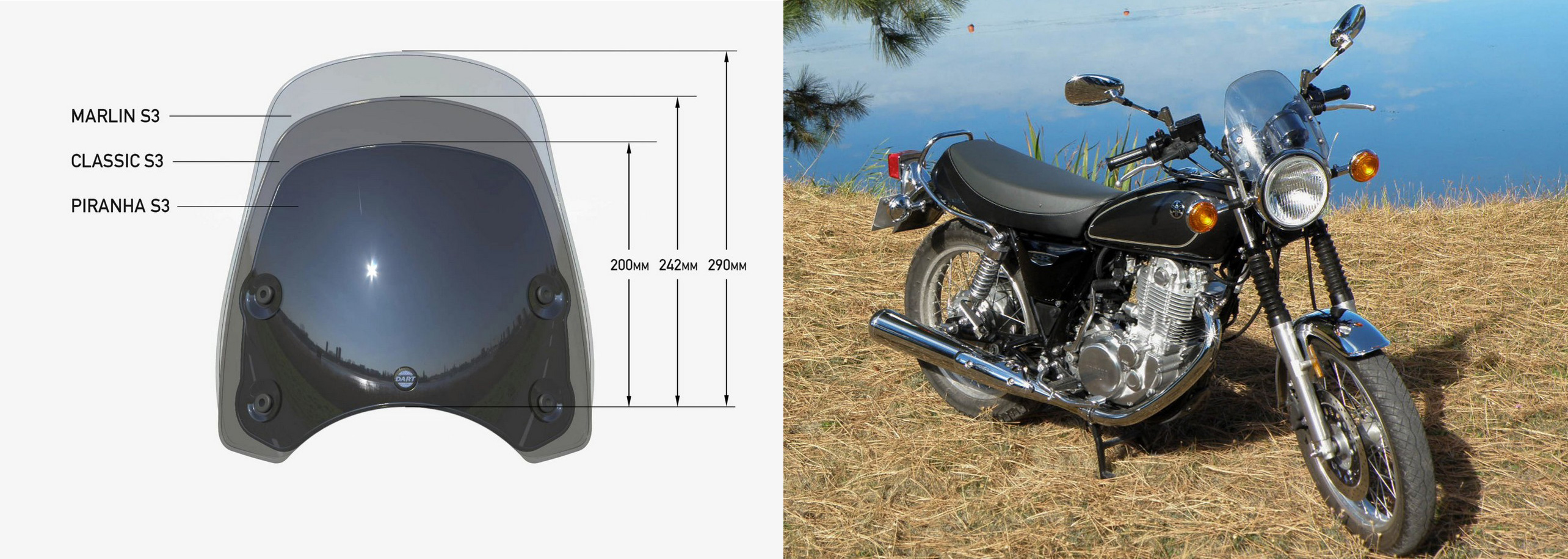 DART スクリーン