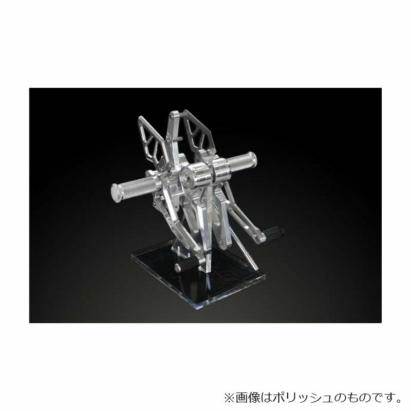 アエラ(AELLA) ライディングステップキット ポリッシュ モンスター1100-01