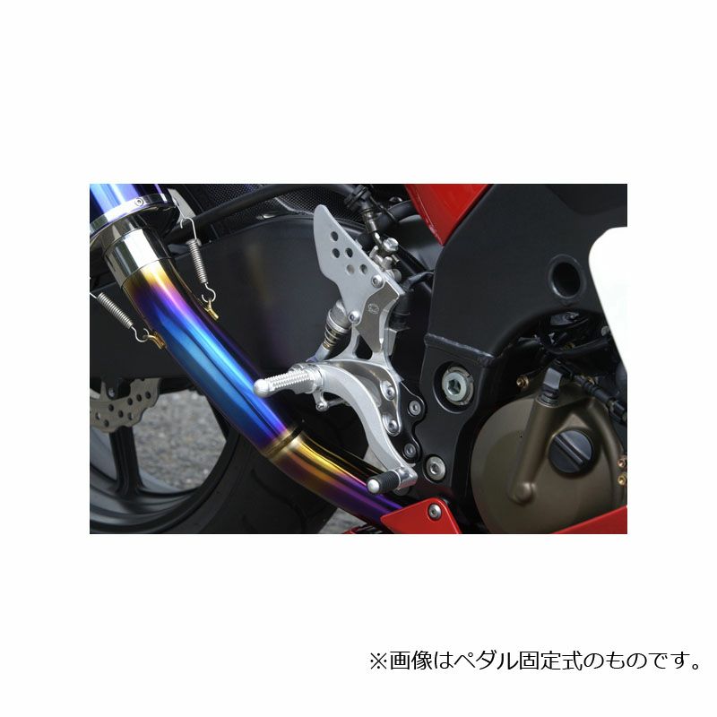 ビートジャパン(BEET JAPAN) ハイパーバンク(ペダル固定式) ZX-10R 04-05-01