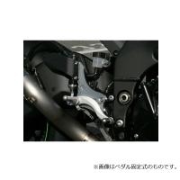 KAWASAKI ZX-9R 10R |バックステップ|バイクパーツ専門店 モトパーツ