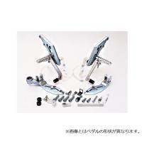 パーツ BEET JAPAN 000000004031-01-m.jpg?t=
