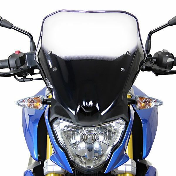 MRA(エムアールエー) スクリーンレーシング クリア G310R-02