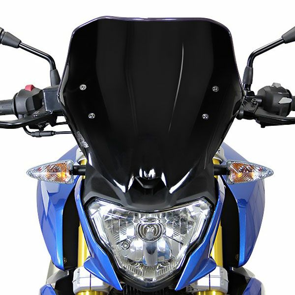 MRA(エムアールエー) スクリーンレーシング ブラック G310R-02