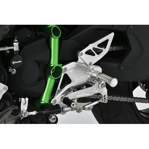 アグラス(AGRAS) バックステップ 4ポジション Ninja H2 15- 312-496-000-01