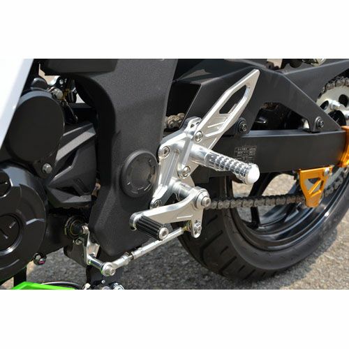 アグラス(AGRAS) バックステップ 4ポジション Ninja250SL 312-495-000-01