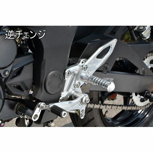 アグラス(AGRAS) バックステップ 4ポジション Ninja250SL 312-495-000-03
