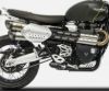 ZARD スリップオンマフラー トライアンフ SCRAMBLER 1200 カーボンエンドキャップ-01