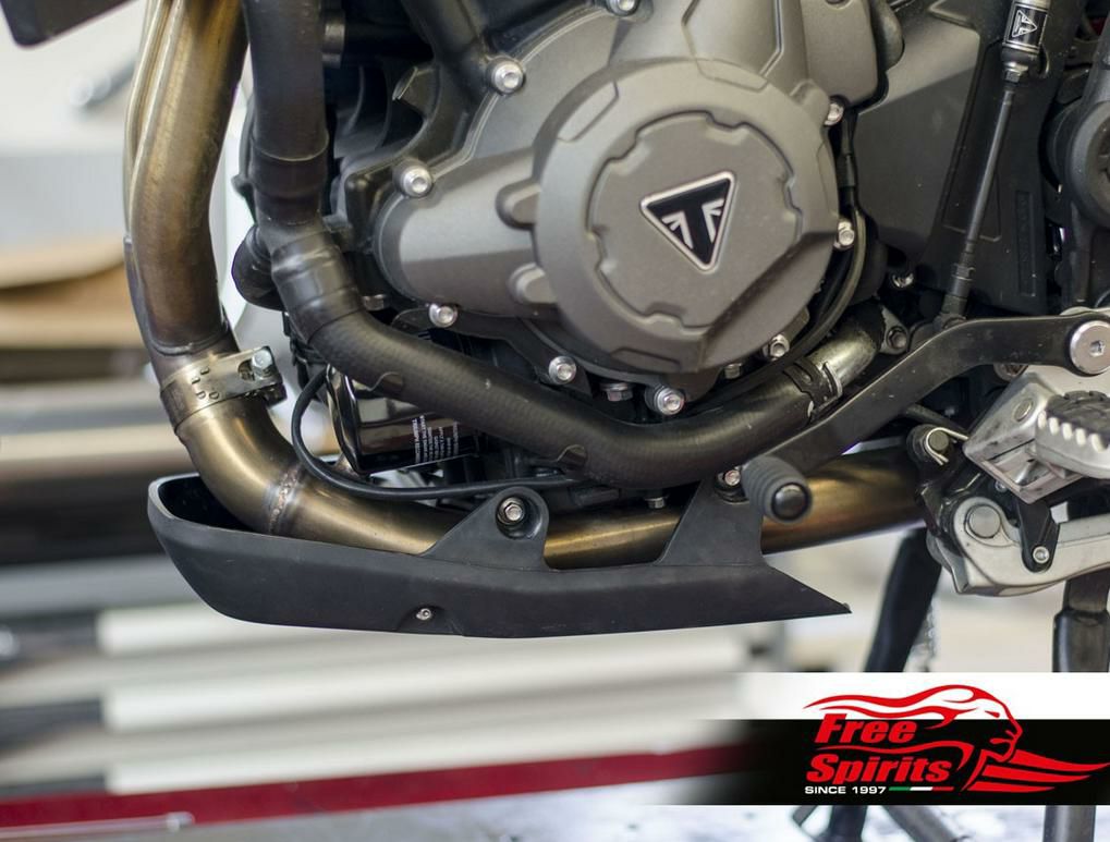 Free Spirits キャタライザー デリート パイプ TIGER 900-03