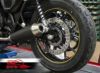 Free Spirits Brembo リアキャリパー(チタン) ディスクローター  アップグレードキット-03