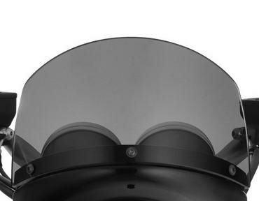 ワンダーリッヒ VINTAGE スクリーン R-NineT スモークグレイ-01