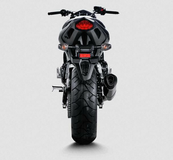 Akrapovic (アクラポヴィッチ) スリップオンマフラー・EC規格・カーボン・CB600F/Hornet・CBR600F・07-13-04