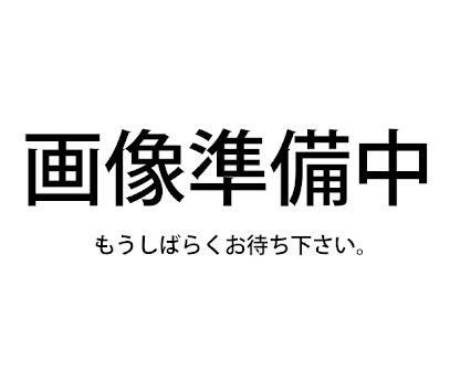 GIVI(ジビ) 【TE6419】サイドホルダー 装着KIT-01