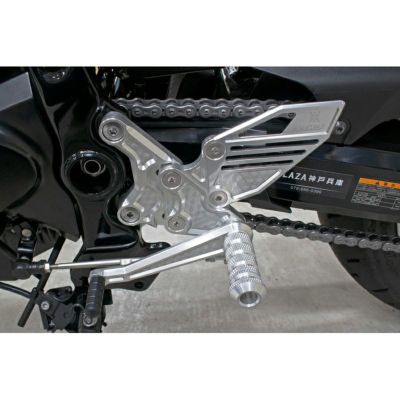 カワサキ Z900RS/CAFE ラジエターサイドロッドセット シルバー