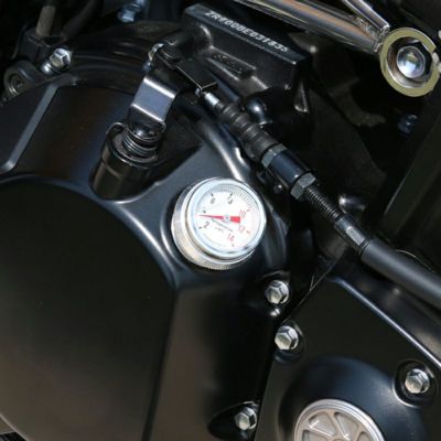 カワサキ Z900RS SPEEDRA メーターカバーカーボン 楽天市場】SPEEDRA スピードラ メーターカバー ドライカーボン