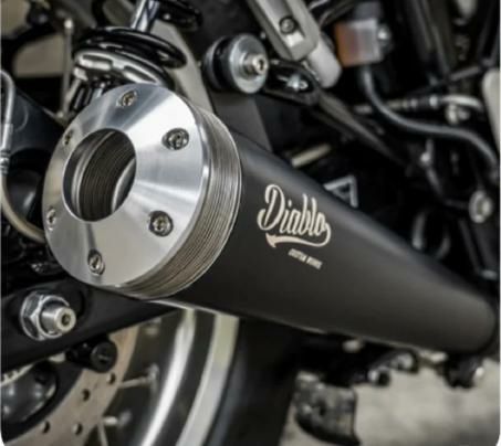 Amazon | Diabolus ホンダレブル250 マフラー RB0150/Diablo