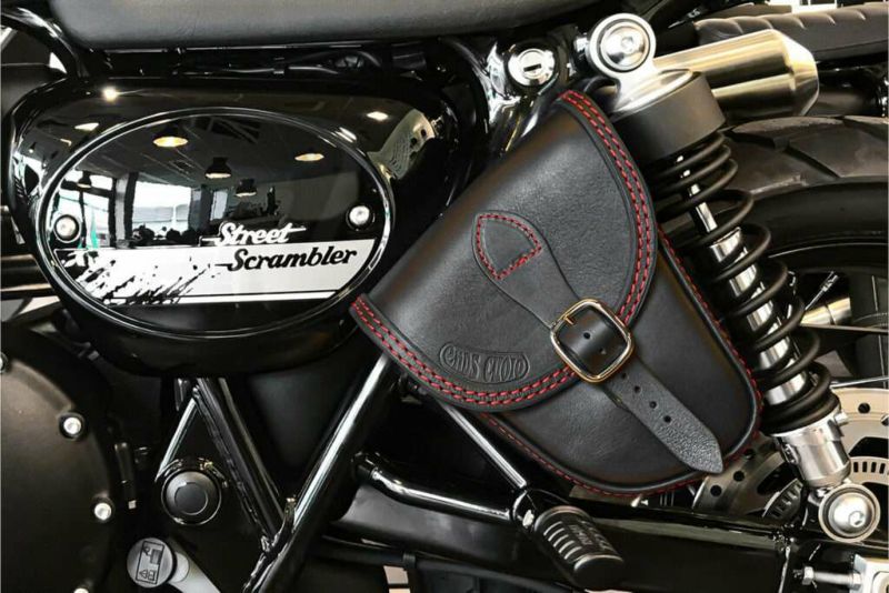 トライアンフ ボンネビル スクランブラー用 リアフック左右 31uw+vUZy8L._UF894,1000_QL80_.jpg