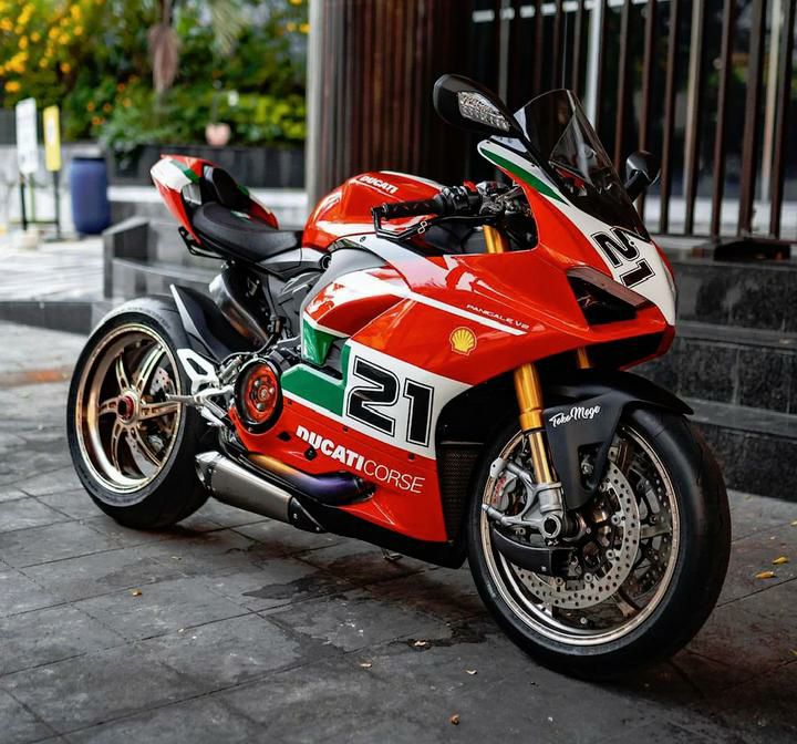 バーガンディ フリンジ付きマフラー MOSCHINO (モスキーノ) ウール100％ テディベアパッチ フリンジ