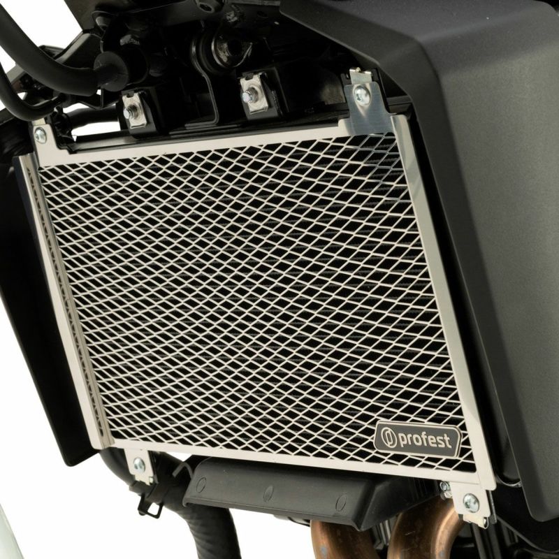 カワサキ エリミネーター/SE ラジエターコアガード (ステンレス