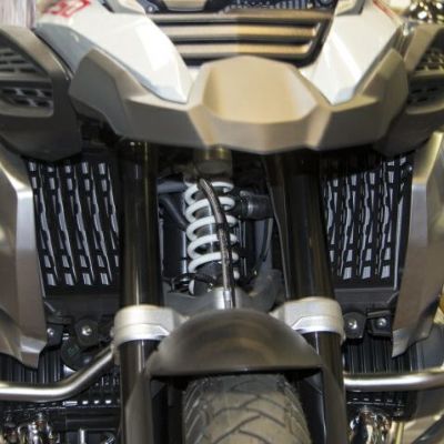 BMW R1200/1250R AELLAラジエターガード（ワンダーリッヒ