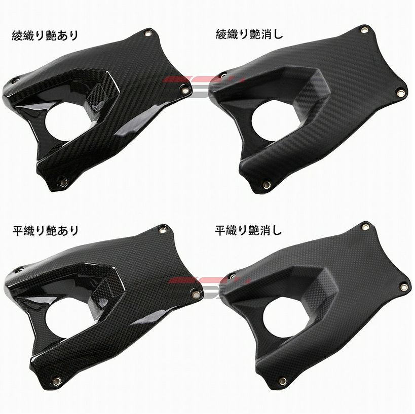 Z900RS インジェクションカバー 左右セット ドライカーボン SPEEDRA  
