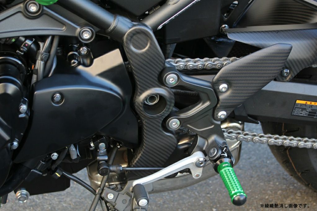Z900RS フレームカバー 左右セット ドライカーボン SPEEDRA | バイク 