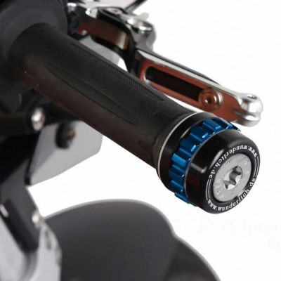 R12/R12nineT クルーズコントロール  ワンダーリッヒ