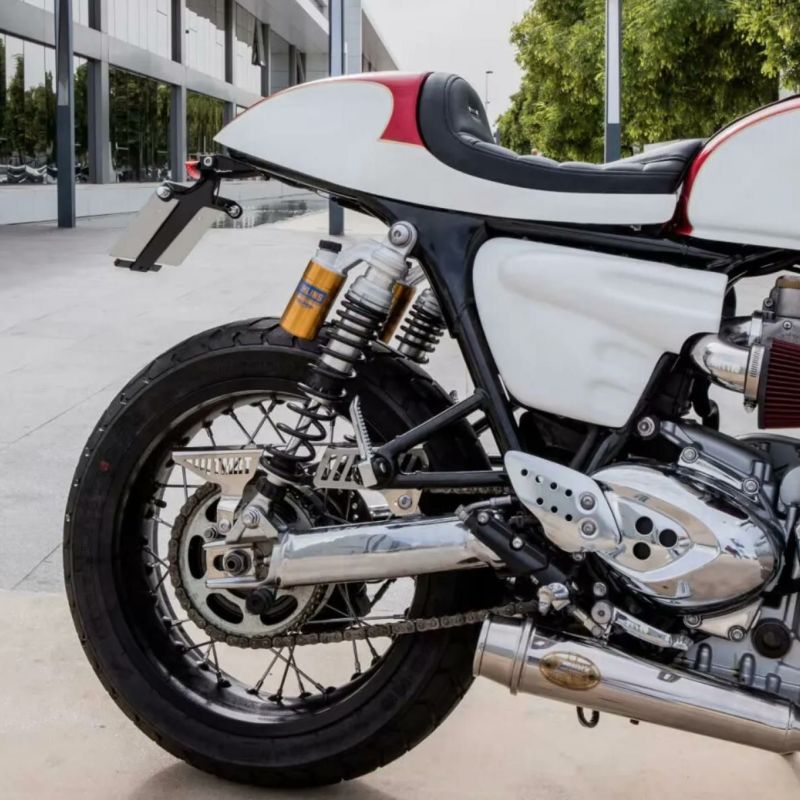 トライアンフ スラクストン1200/R/RS フェンダレスキット タマリット