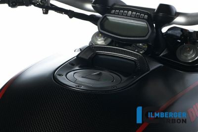 ILMBERGER リアフェンダー DUCATI DIAVEL 1200
