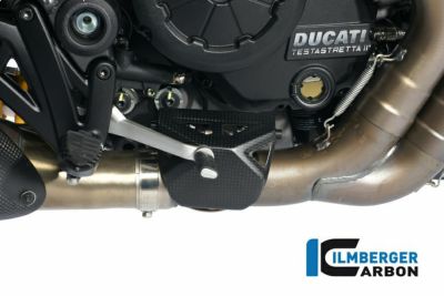ILMBERGER リアフェンダー DUCATI DIAVEL 1200