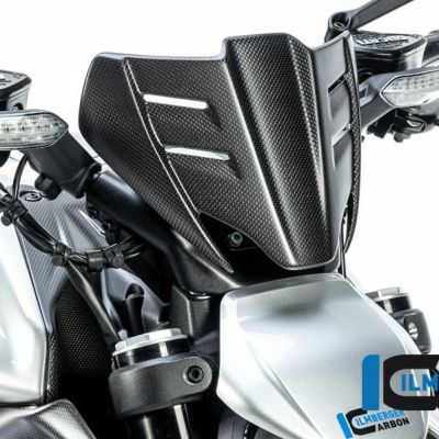 DUCATIディアベル ILMBERGER イルムバーガ カーボンリアフェンダー DUCATI PanigaleV4 カーボン リアフェンダー レーシングフルエキ