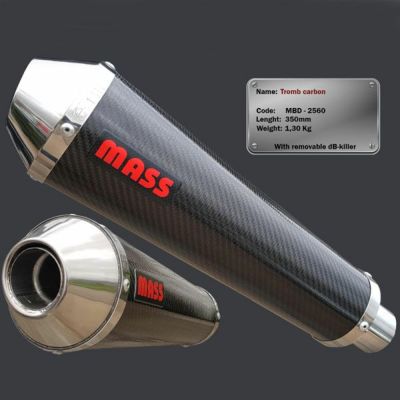 アクラポヴィッチ(AKRAPOVIC) スリップオン・マフラー メガホン