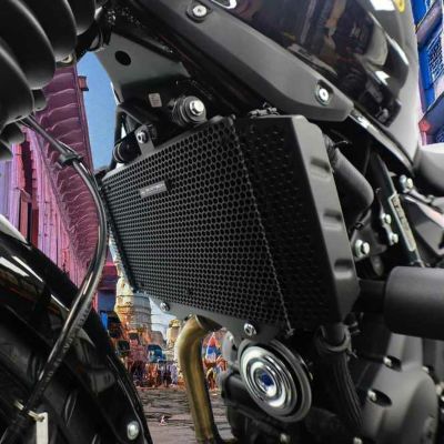 ロイヤルエンフィールド ヒマラヤ 450 タイプ3 ヘッドライトガード